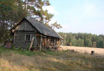 .  2007